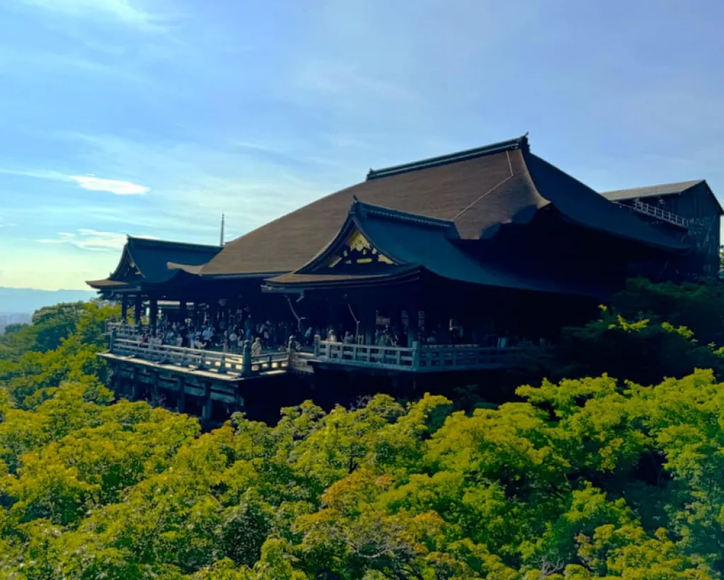 Kyoto: 100% Private Custom Walking Tour (4/8 Hrs)#3
