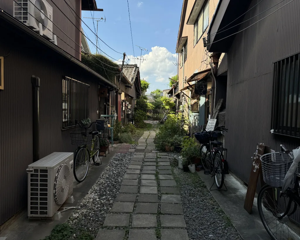 Nara: Private 2-Hour Bar Hopping & Local Drinks Tour#5