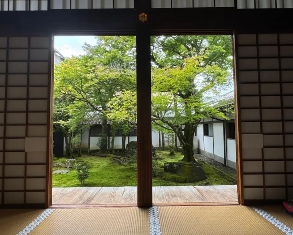 Kyoto: Ninna-ji, Stunning Pagoda and Gardens Tour in 1.5h#4