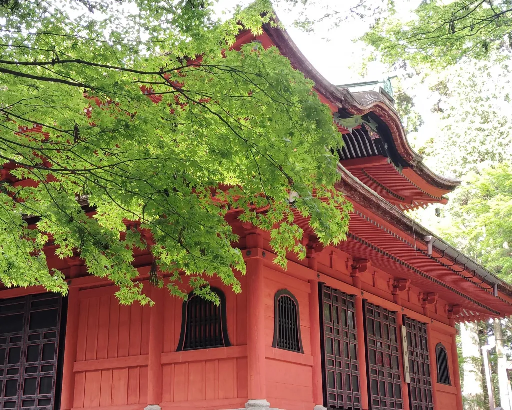 Kyoto: World Heritage Enryakuji and Monk's Town Private Tour#4