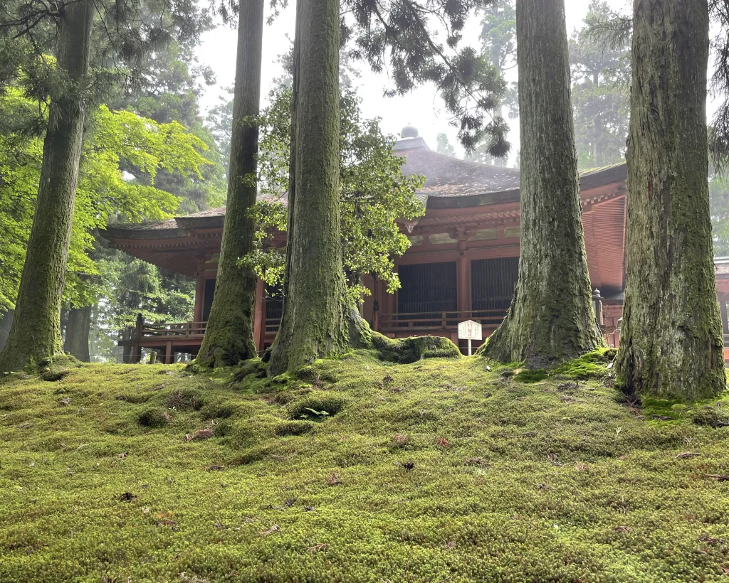 Kyoto: World Heritage Enryakuji and Monk's Town Private Tour#3