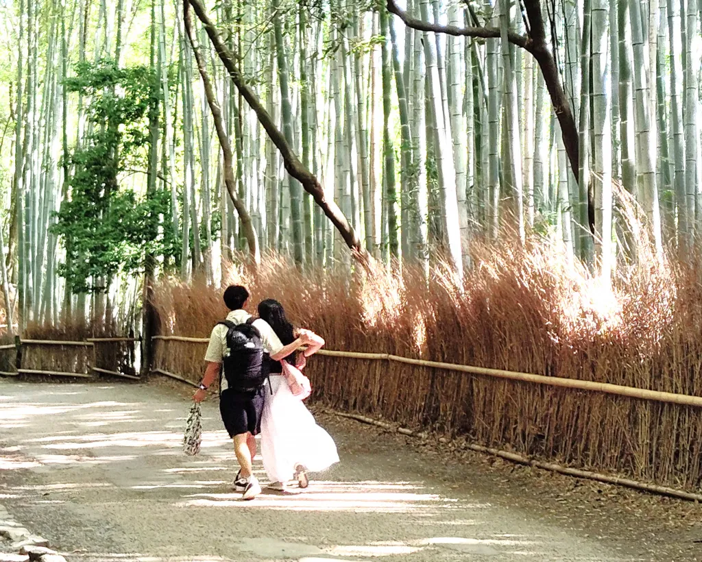 Kyoto: Arashiyama Guided Tour, Bamboo, Monkey, Zen Temple#3