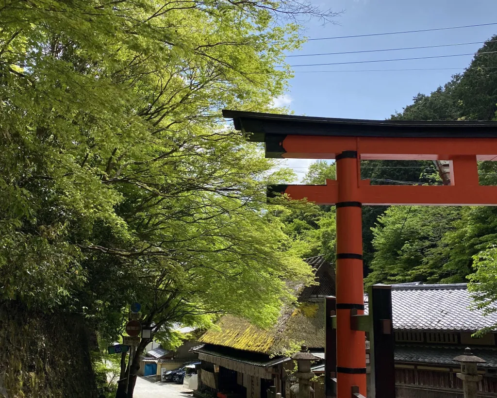Kyoto: Stroll around the Depths of Arashiyama#5