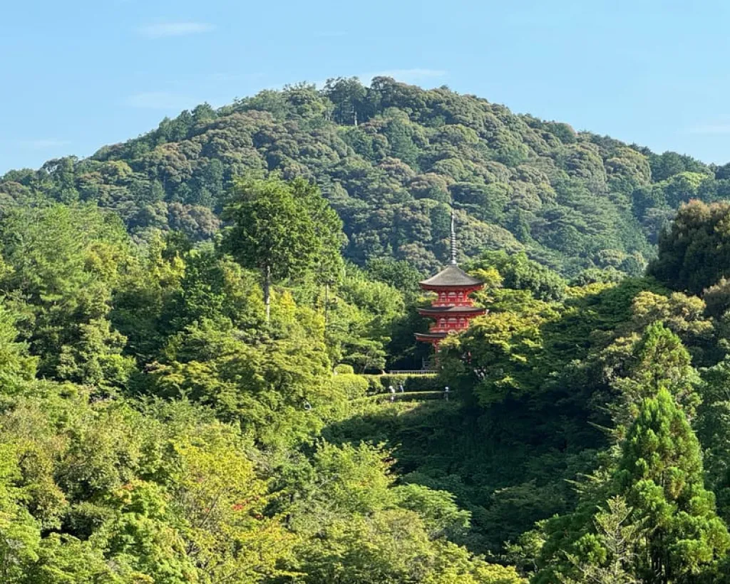 Kyoto: Gion Full-Day - Popular Spots & Hidden Gems - Private#3