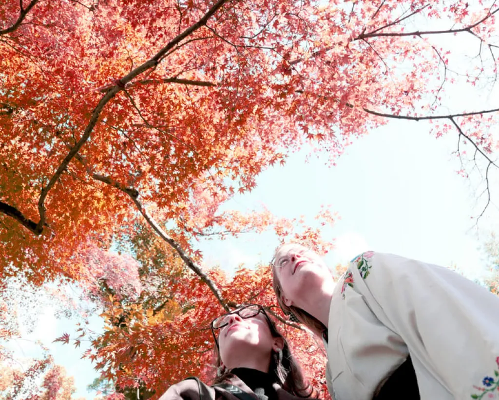 Kyoto: Discover the Oldest Geisha District, Kamishichiken#5