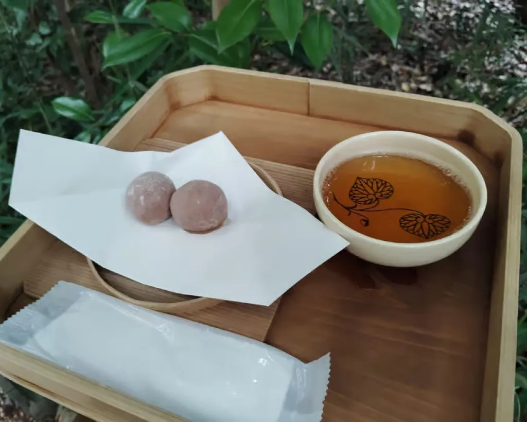 Kyoto: Kamigamo and Shimogamo Shrines Guided Tour 3h#4