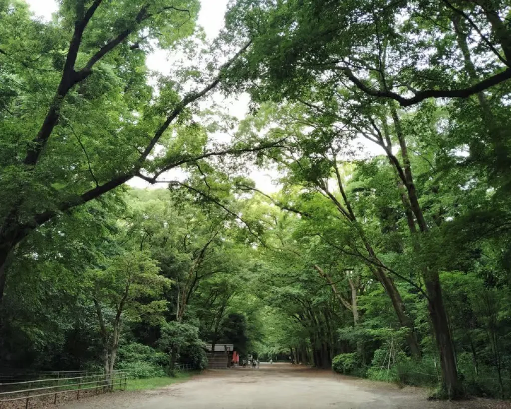 Kyoto: Kamigamo and Shimogamo Shrines Guided Tour 3h#3
