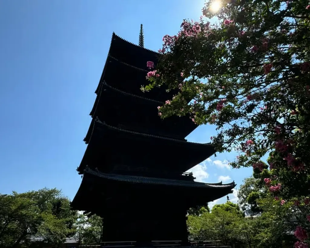 Kyoto: Guided Tour of Toji Temple with 5-Story Pagoda#5