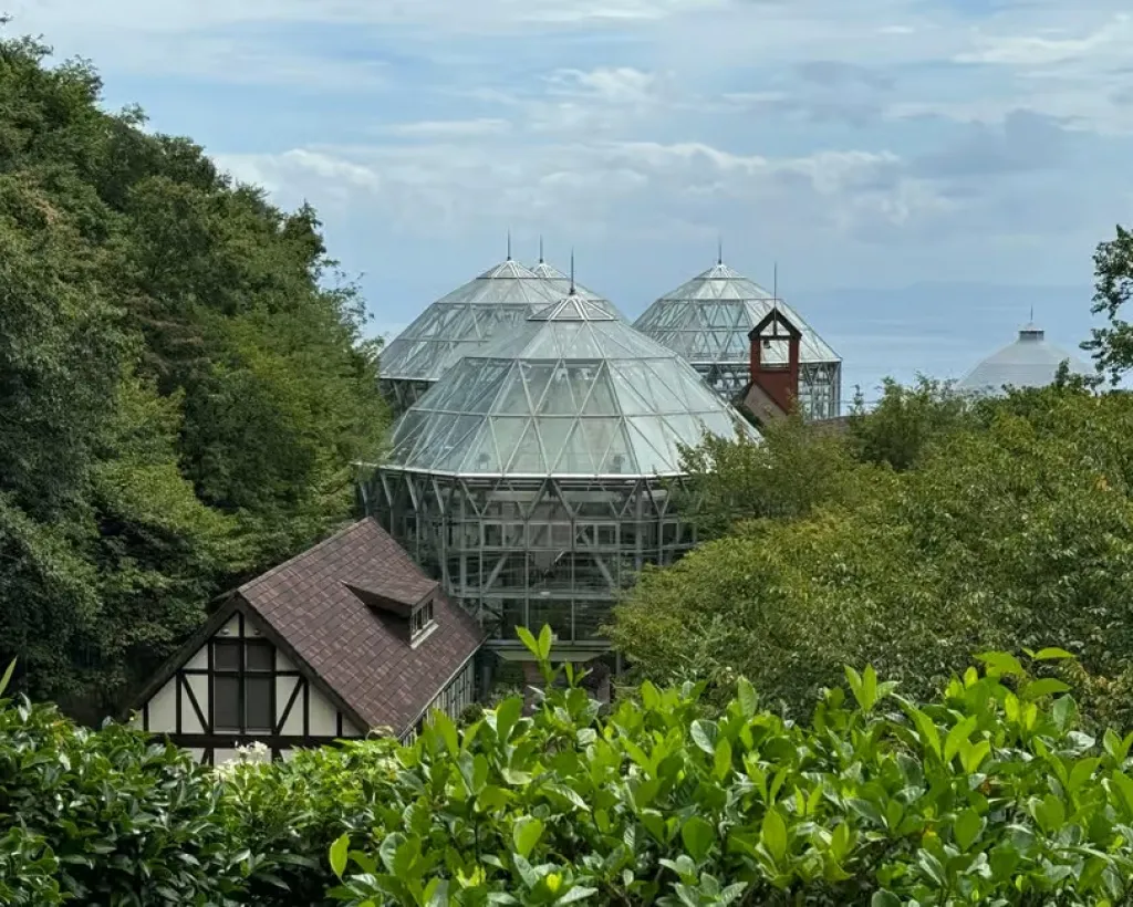 Kobe: Immerse Yourself in the History and Nature of Kobe#5