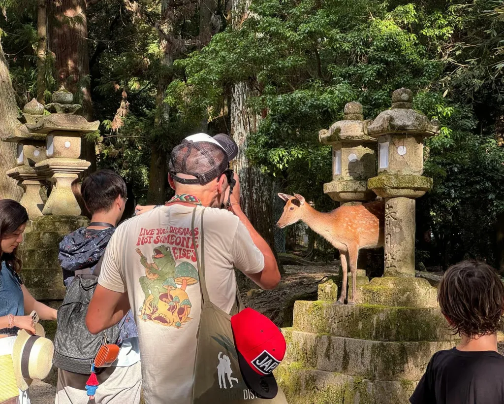 Nara: Half-Day Private Tour of 4 Must-See Spots & Deer Park#3