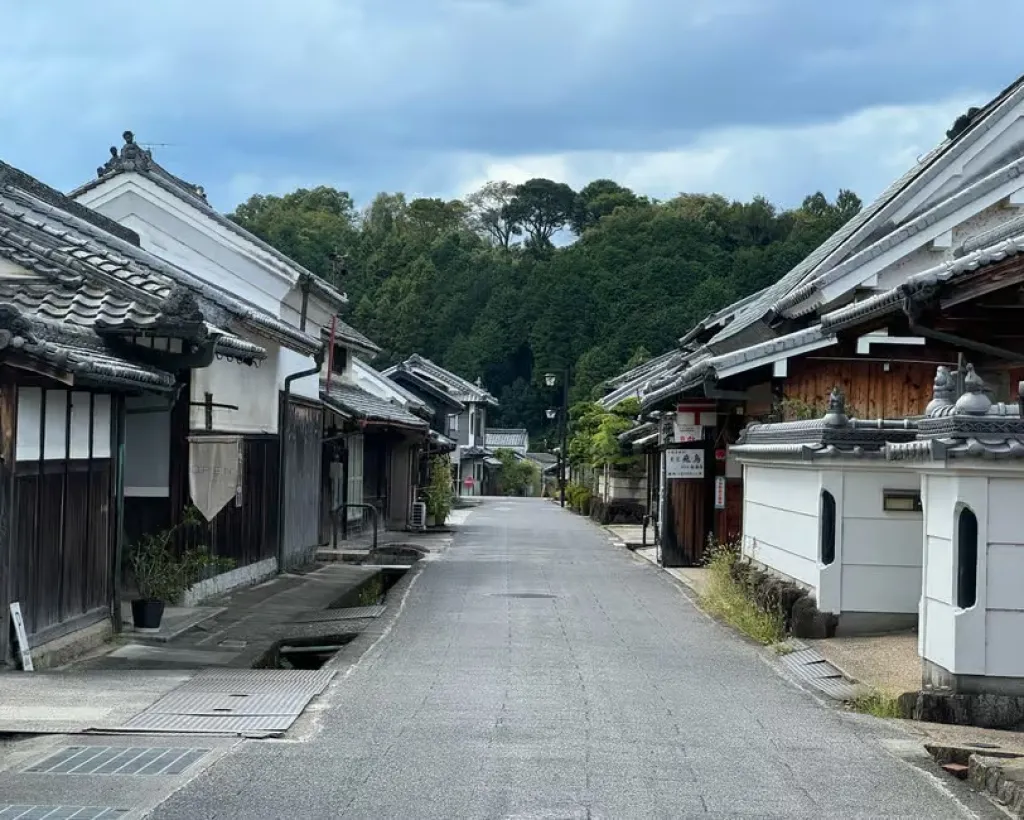 Nara: Asuka, Ancient Capital & Future Heritage Private Tour#5