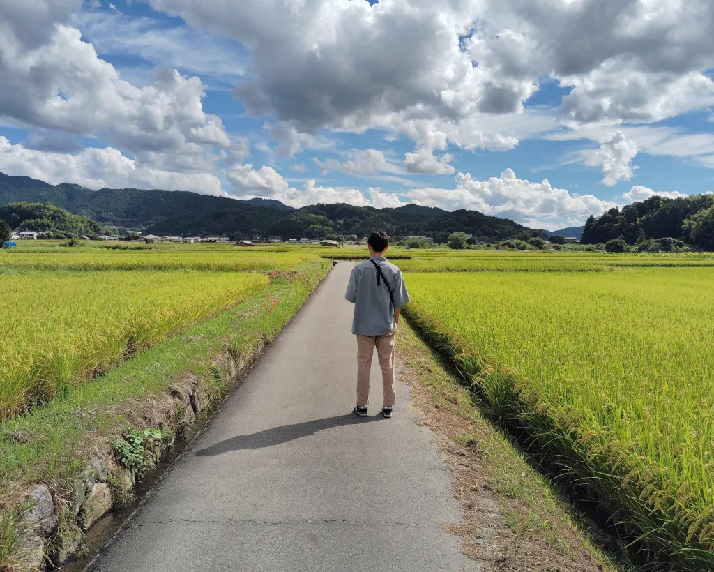 Nara: Asuka, Ancient Capital & Future Heritage Private Tour#1