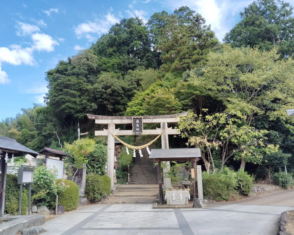 Nara: Asuka, Ancient Capital & Future Heritage Private Tour#4