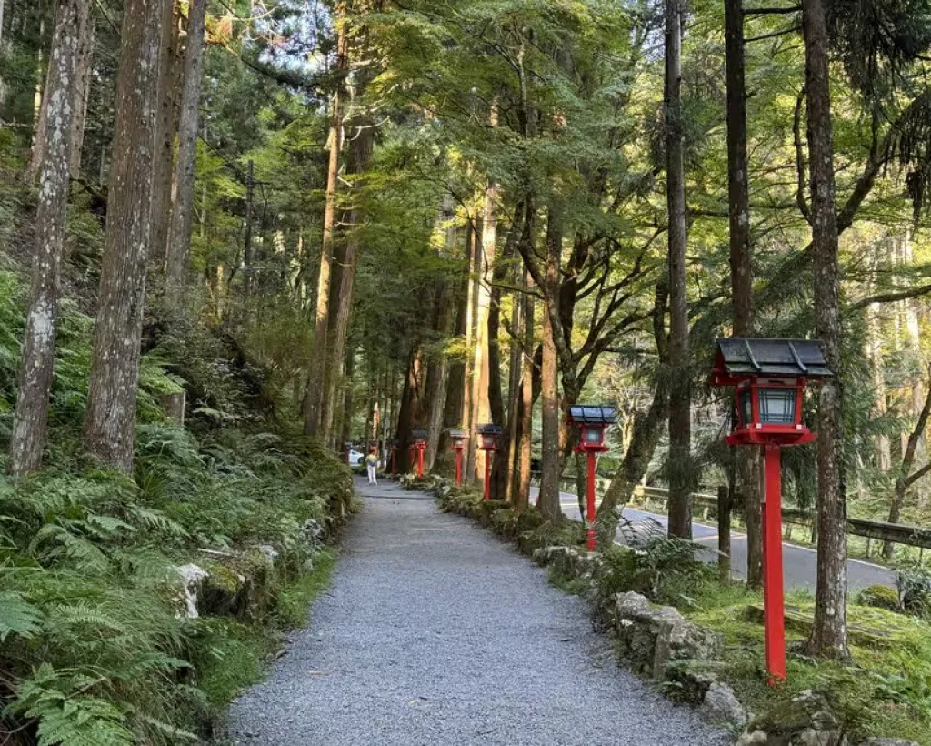 Kyoto: Kifune Shrine and the Sacred Kifune Valley Day Trip#4