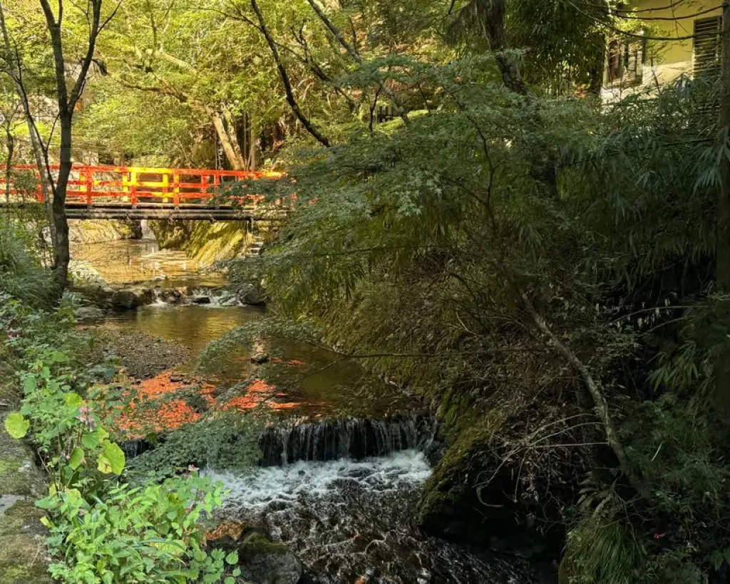 Kyoto: Kifune Shrine and the Sacred Kifune Valley Day Trip#3