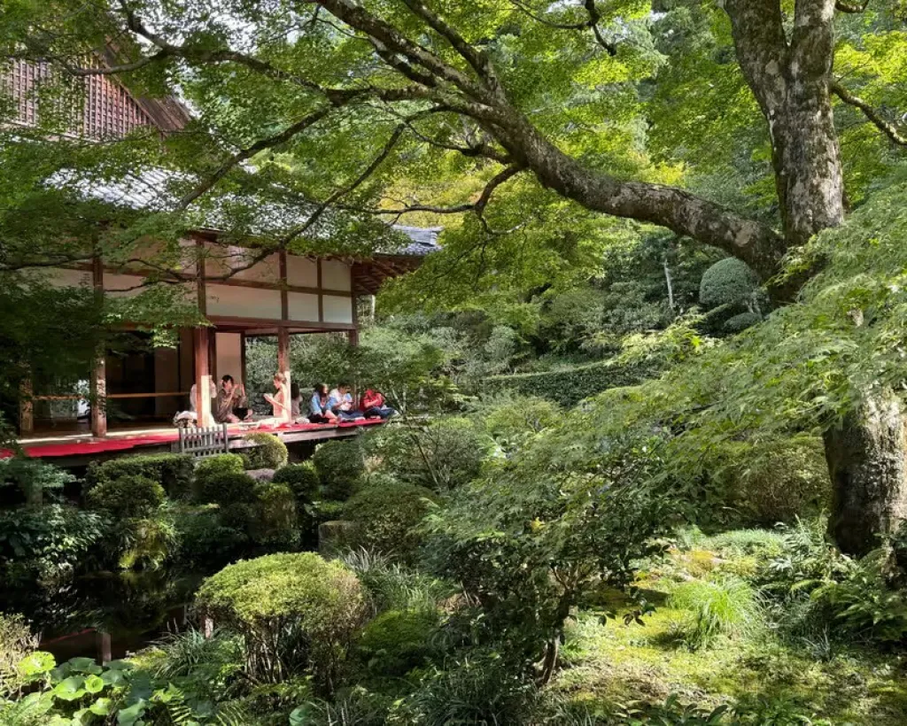 Kyoto: The Hidden Sanctuary of Sanzen-in Temple#4