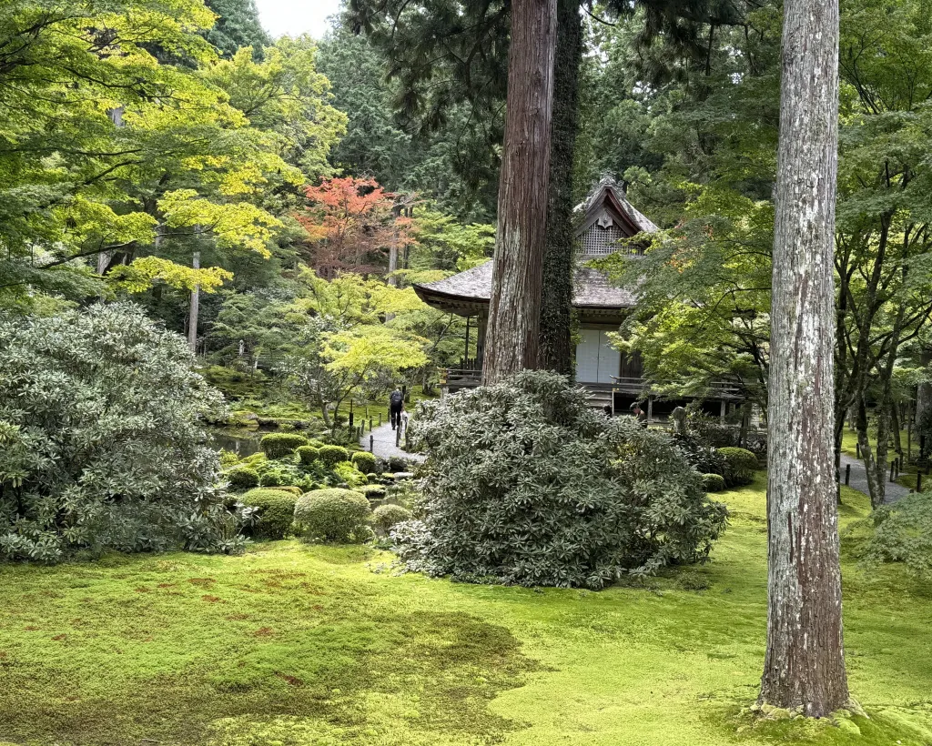 Kyoto: The Hidden Sanctuary of Sanzen-in Temple#5