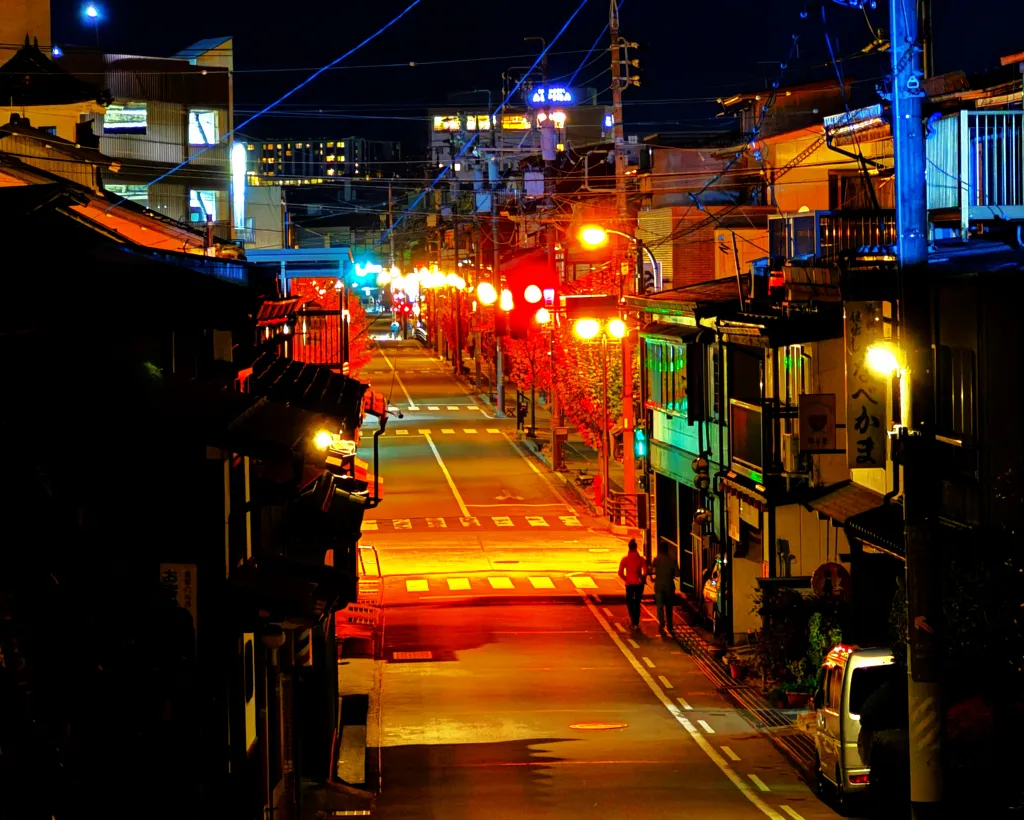 Takayama: Private Night Walking Tour with Dinner#5