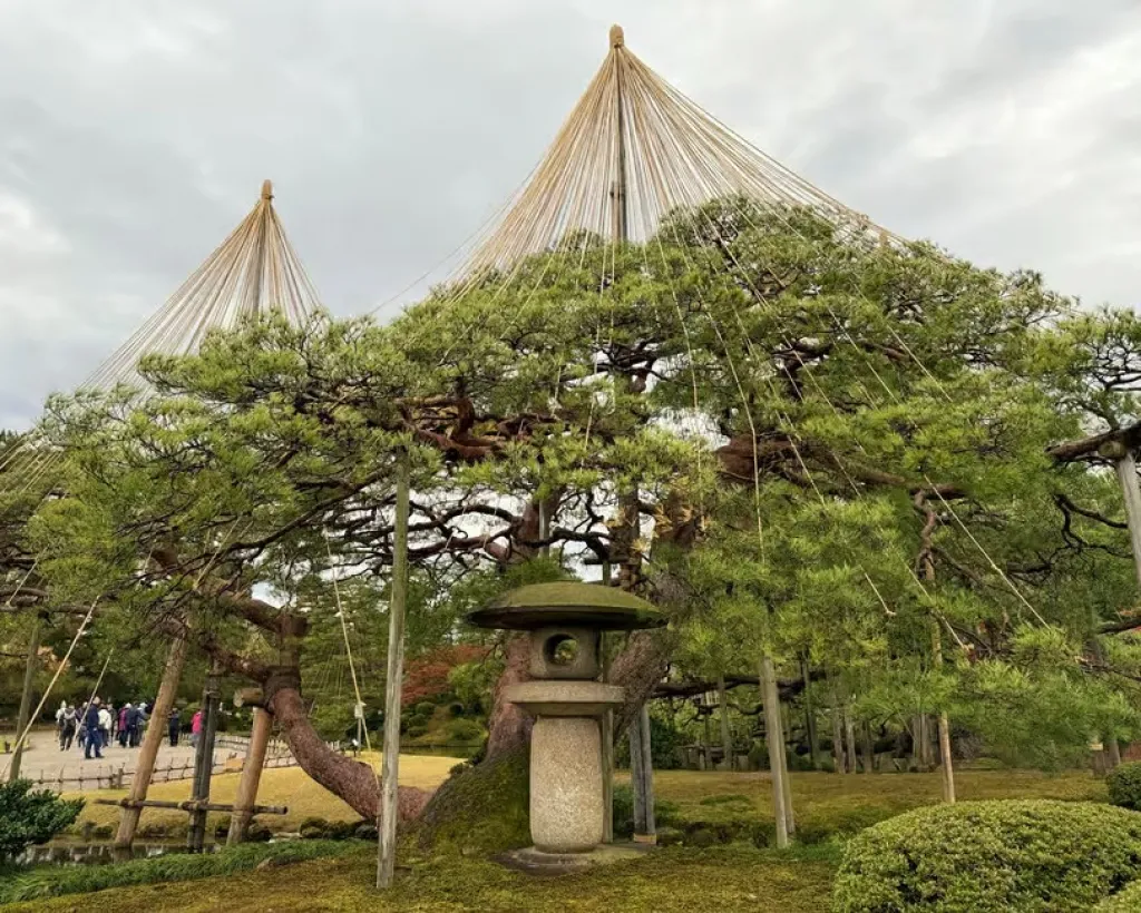 Kanazawa: Half-Day Private Tour - Garden, Castle, Geisha#4