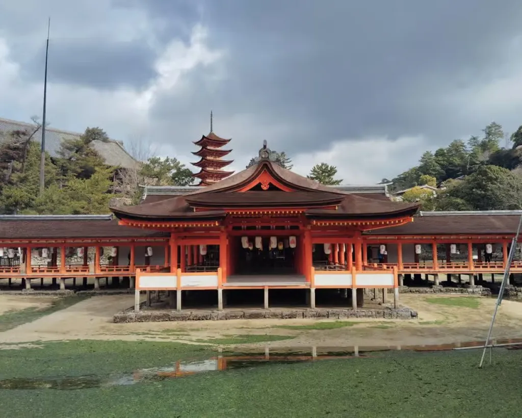 Itsukushima Shrine: Guided Tour with a Local#4