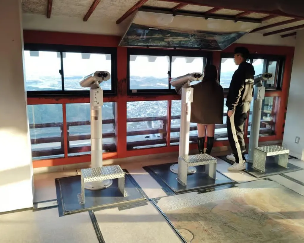 Kintai-Kyo Bridge and Iwakuni Castle with local guide 3h#5