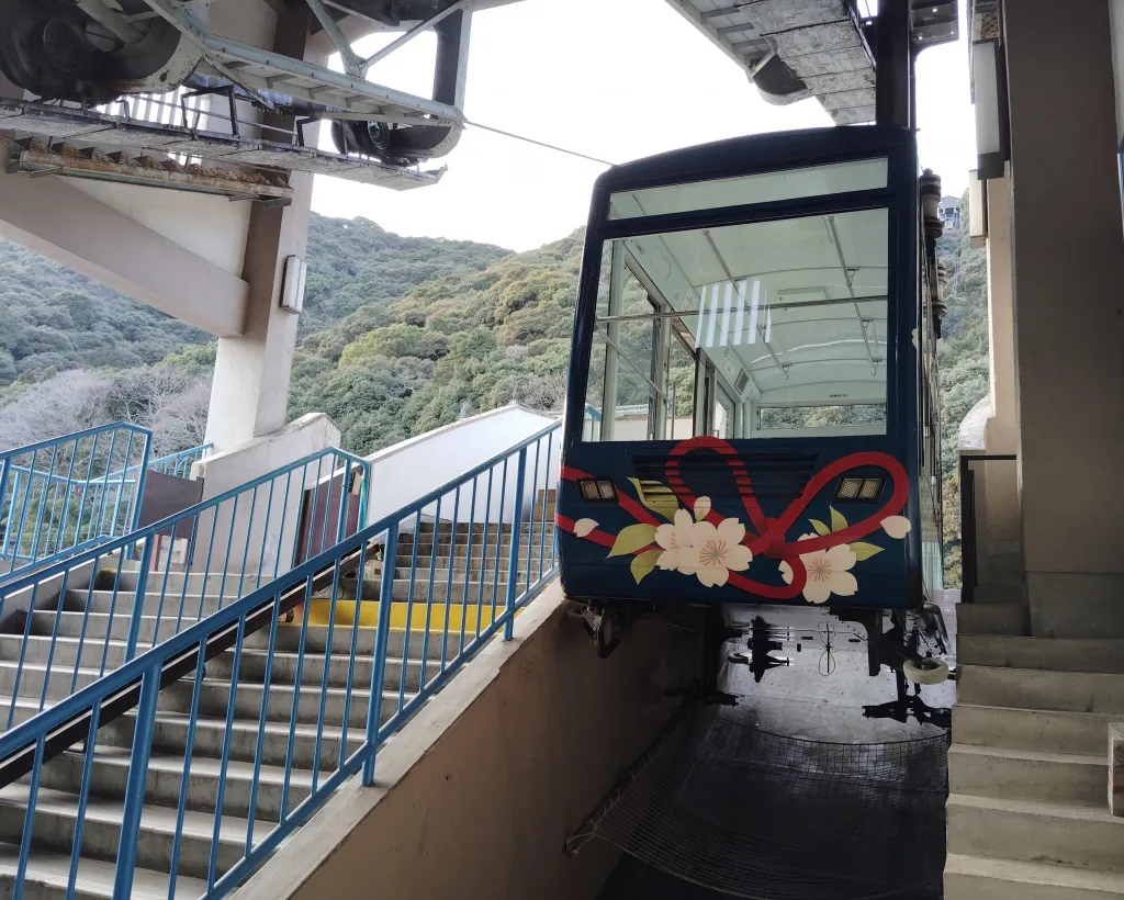 Kintai-Kyo Bridge and Iwakuni Castle with local guide 3h#4