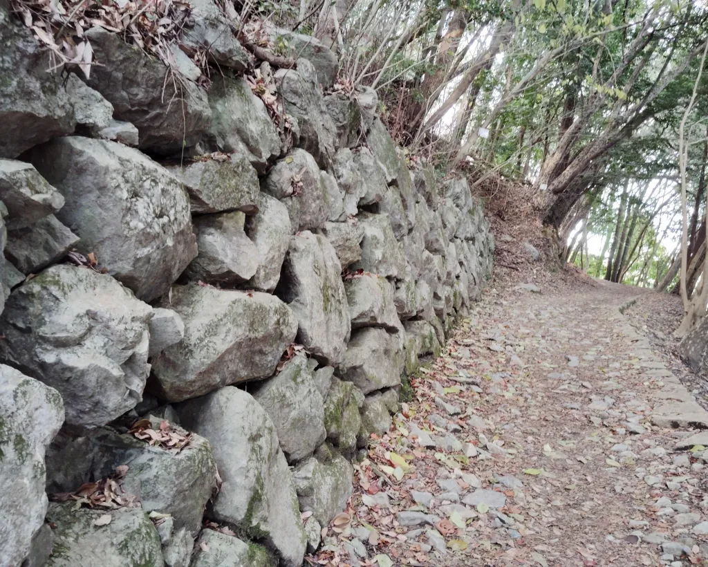 Kintai-Kyo Bridge and Iwakuni Castle with local guide 3h#3