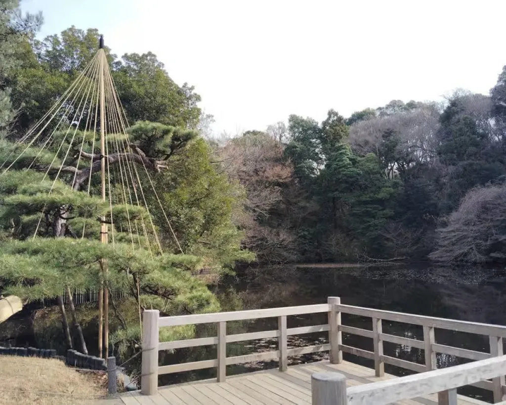 Tokyo: Meiji Jingu Shrine & Inner Garden Private Tour (2h)#5
