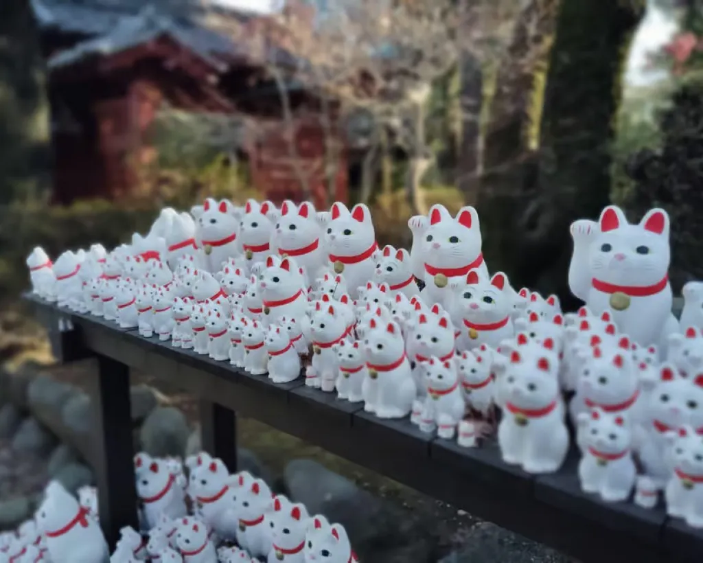 Tokyo: Gotokuji Temple Guided Tour with Manekineko Statues#4