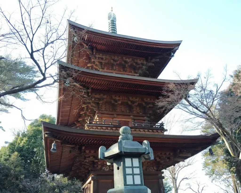 Tokyo: Gotokuji Temple Guided Tour with Manekineko Statues#5
