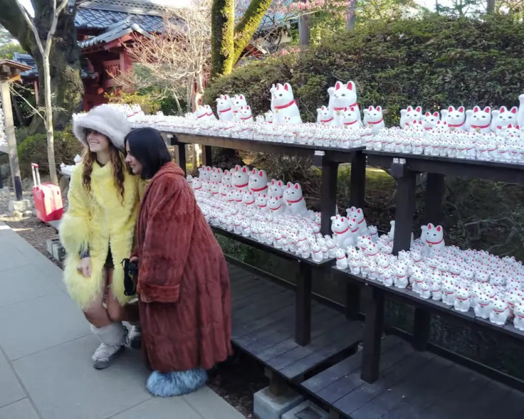 Tokyo: Gotokuji Temple Guided Tour with Manekineko Statues#2