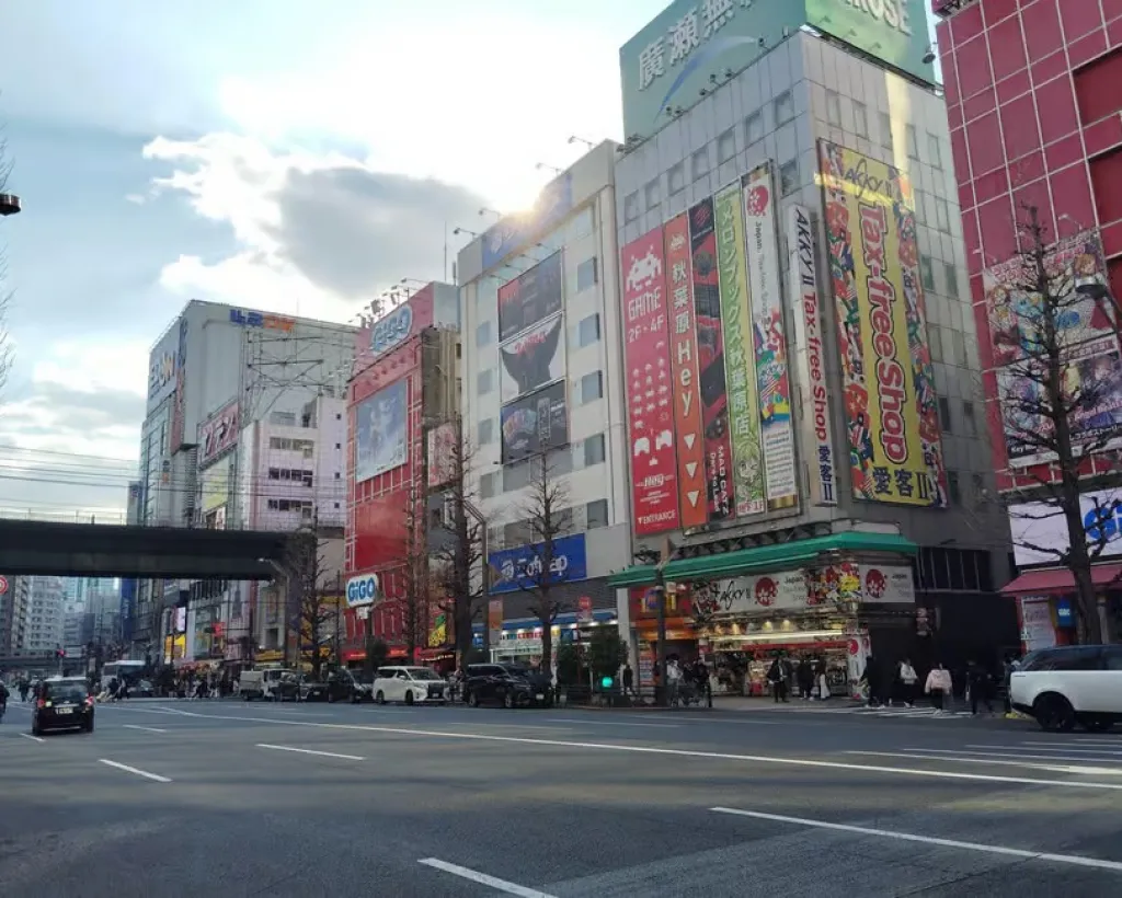 Tokyo: Akihabara Otaku Tour - 1.5h Guided Shopping#1