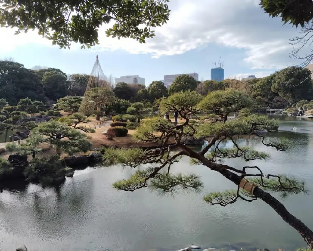 Tokyo: Kiyosumi Garden Guided Tour#3