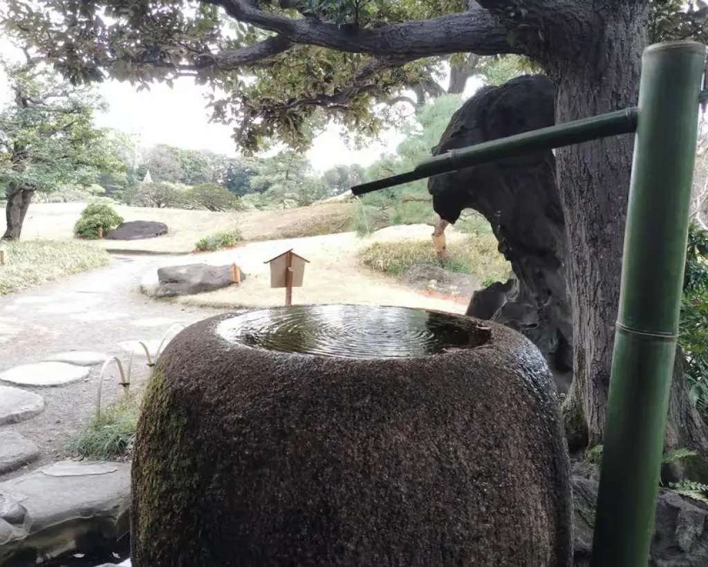 Tokyo: Kiyosumi Garden Guided Tour#4