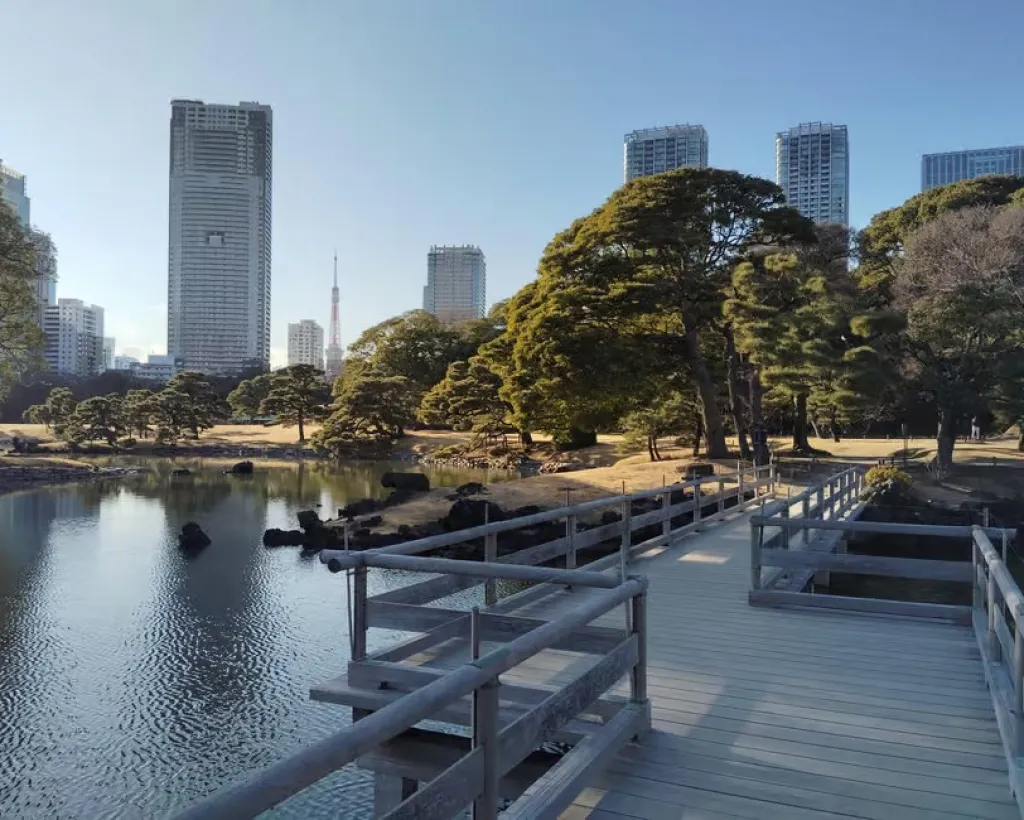 Tokyo: Hama-rikyu Garden Guided Tour with Entry Ticket#5