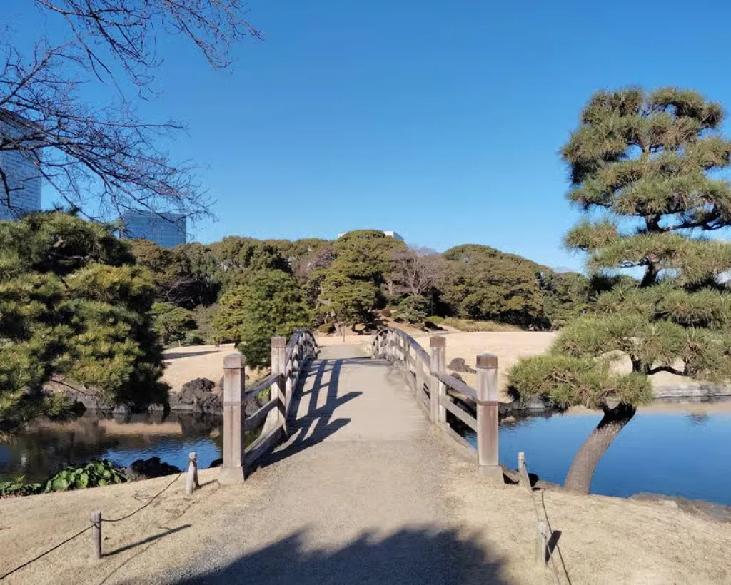 Tokyo: Hama-rikyu Garden Guided Tour with Entry Ticket#4