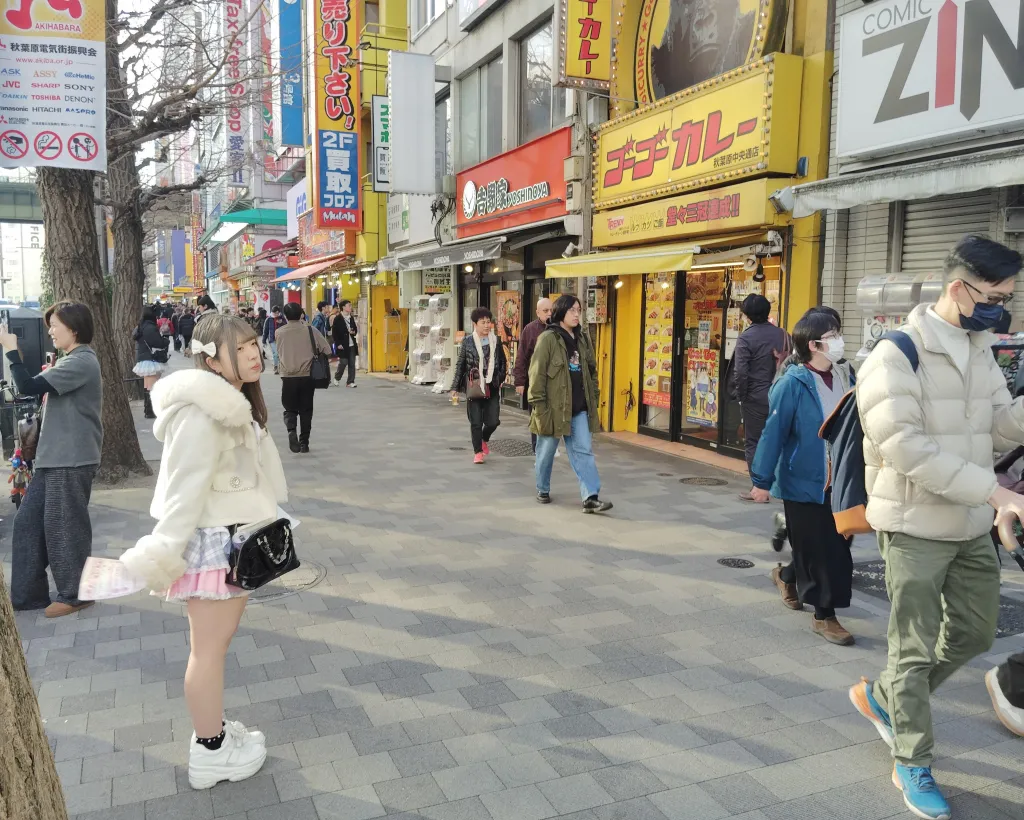 Tokyo: Akihabara Otaku Tour - 1.5h Guided Shopping#2