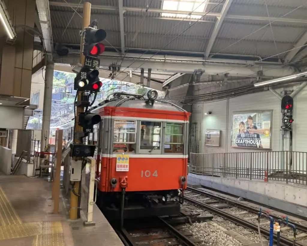 Hakone: Evangelion Anime Tour with Professional Guide#1