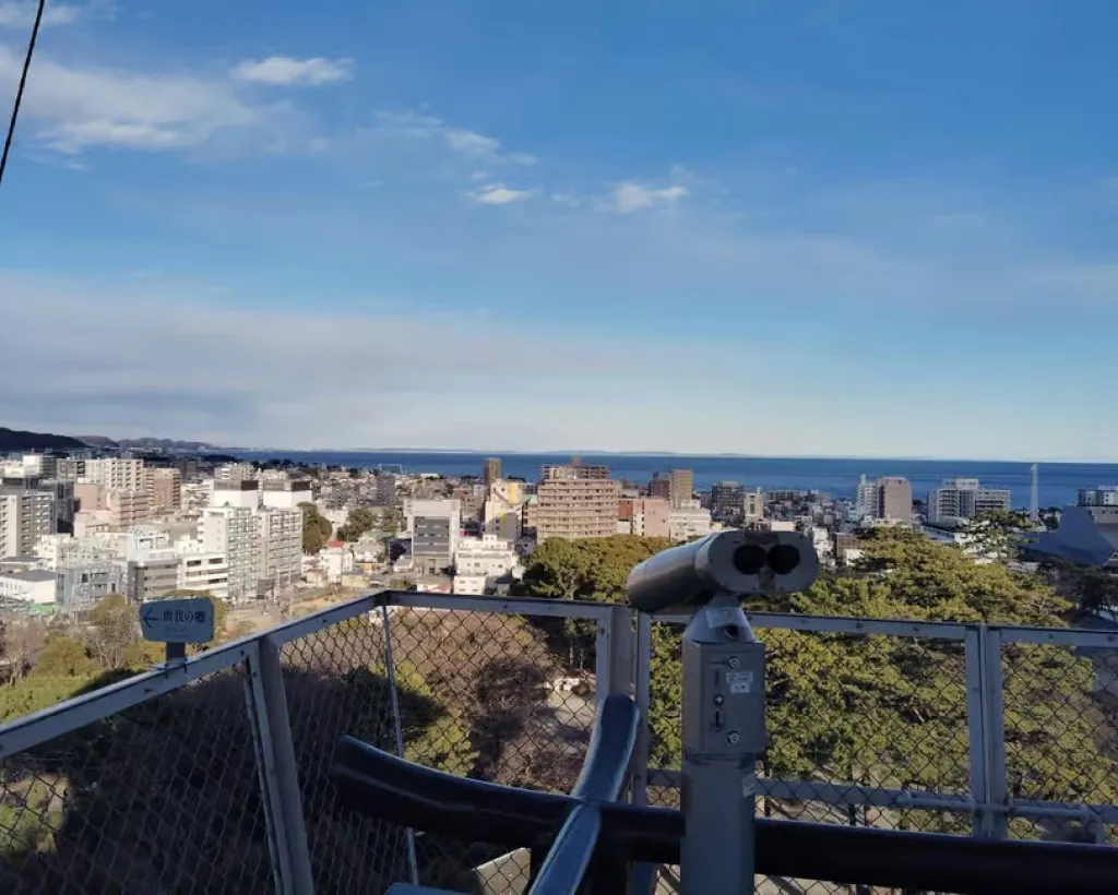 Odawara: Castle Guided Tour with Panoramic Views#5