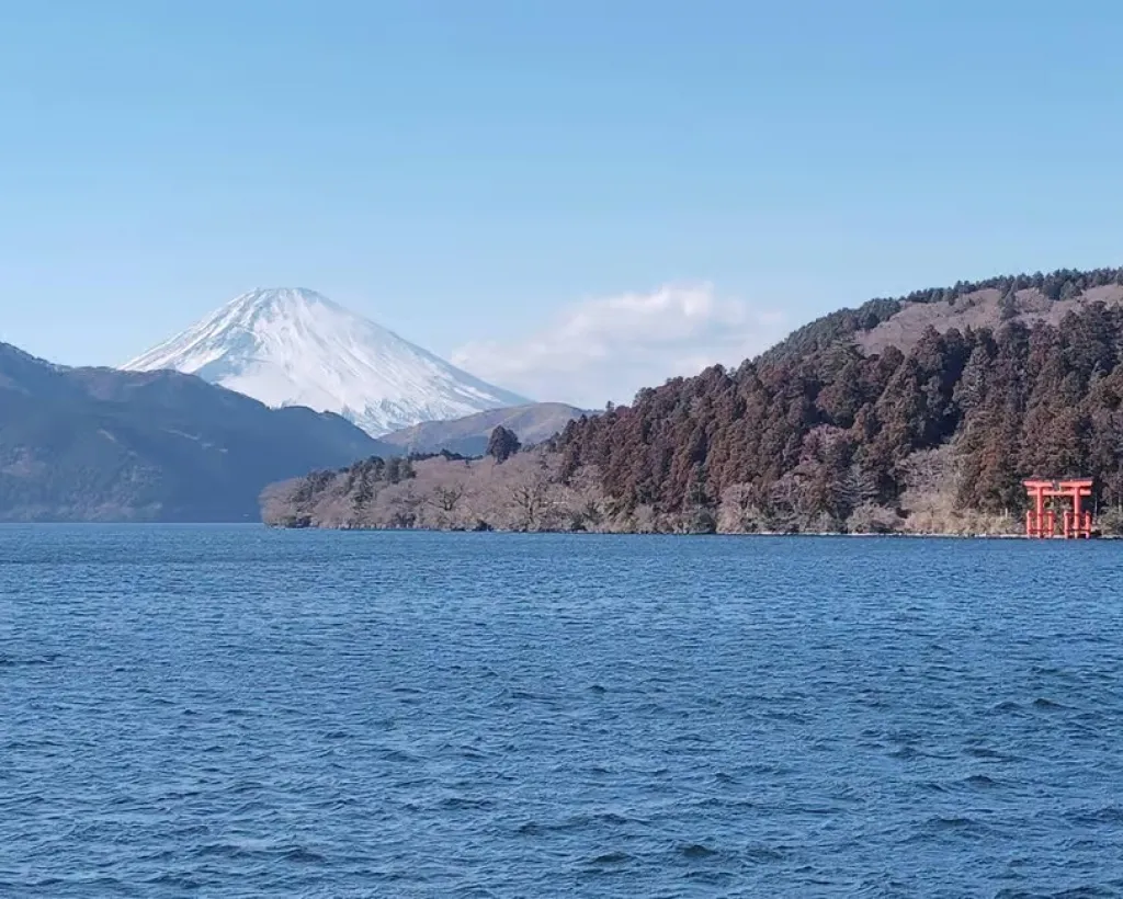 Hakone Adventure: Explore Nature’s Beauty and Tranquility#5