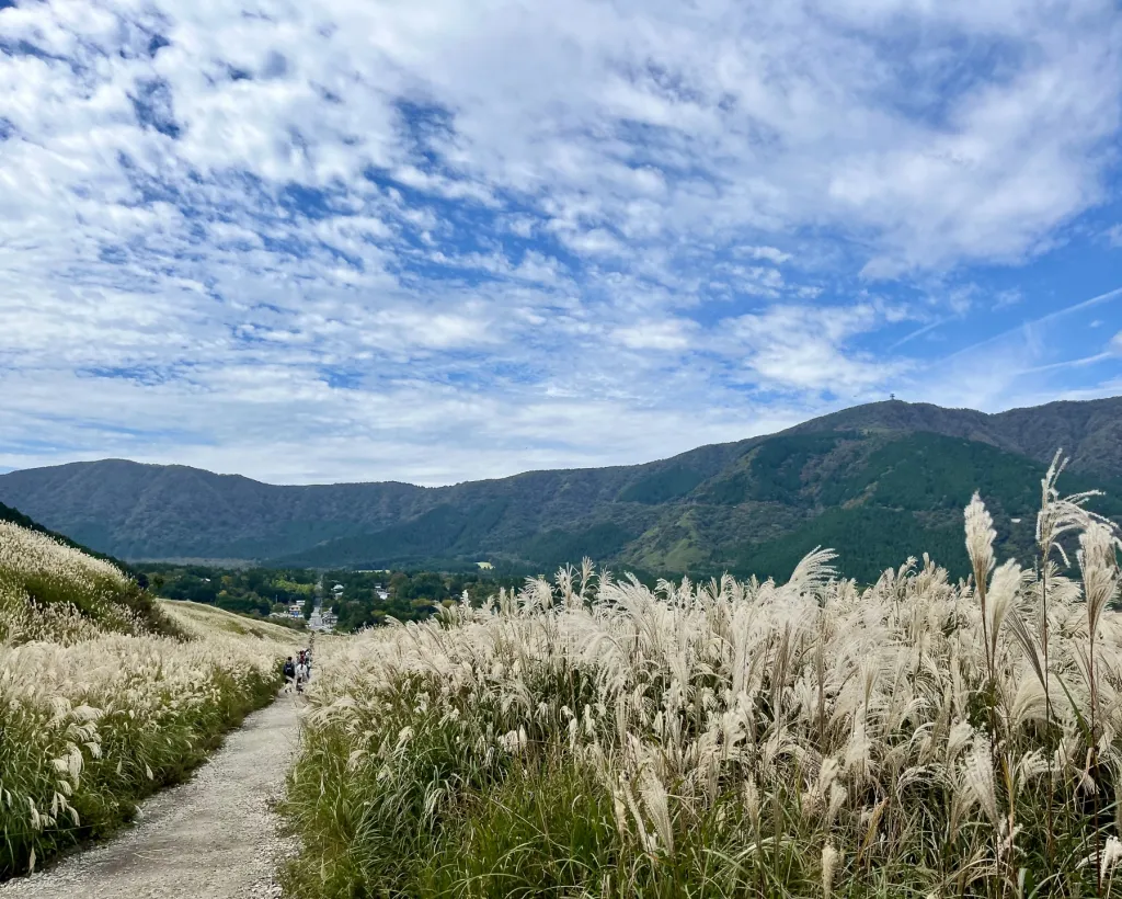 Hakone: Evangelion Anime Tour with Professional Guide#3
