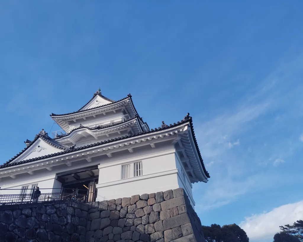 Odawara: Castle Guided Tour with Panoramic Views#1