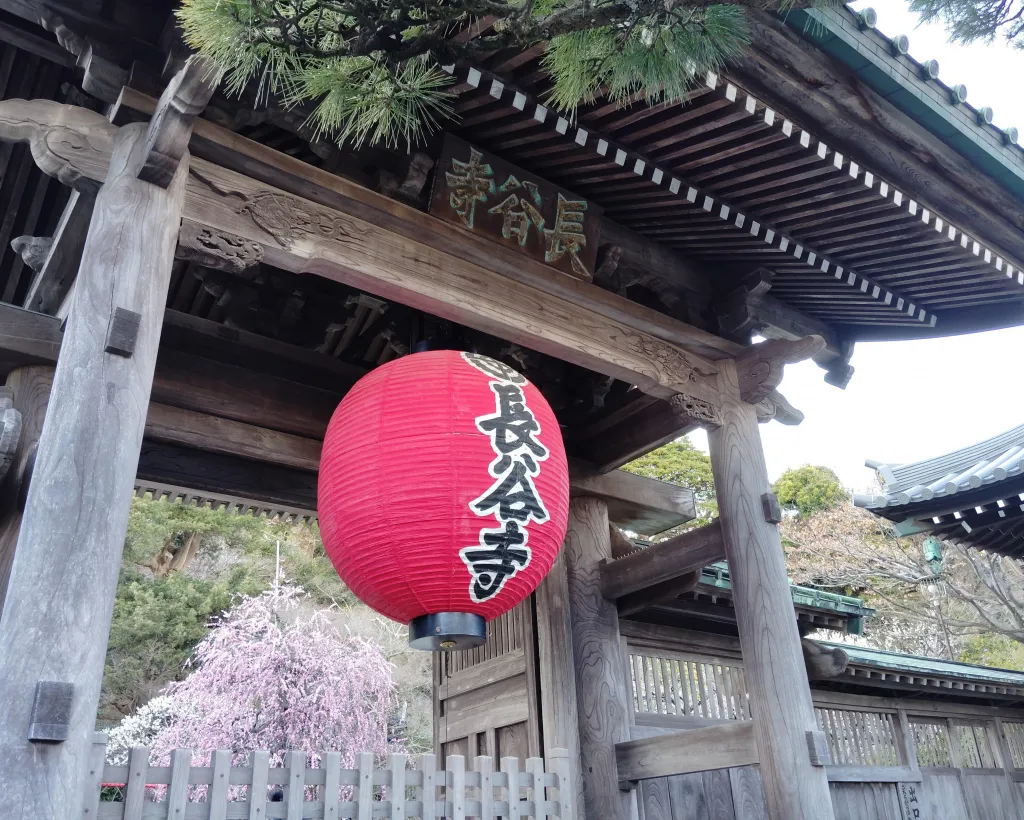 Kamakura: Visit the Great Buddhas & Mysterious Cave Temple#4