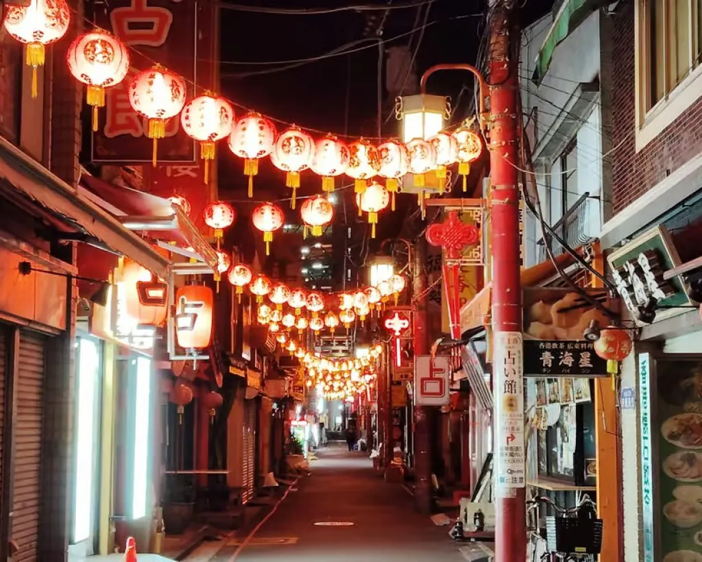 Yokohama: Night Tour with Chinatown and Harbor Views#4
