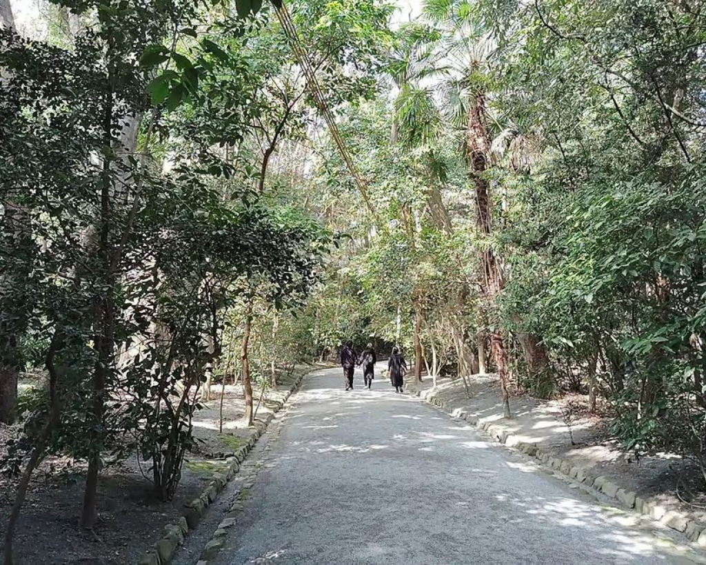 Fukuoka: Munakata Taisha Shrine Guided Tour – UNESCO Site#3