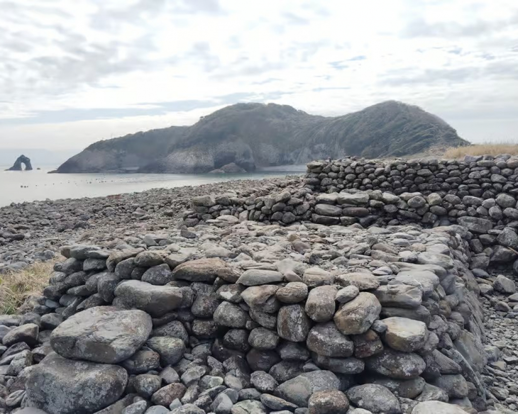 Ainoshima Island Tour: Cats, History & Nature from Hakata#4