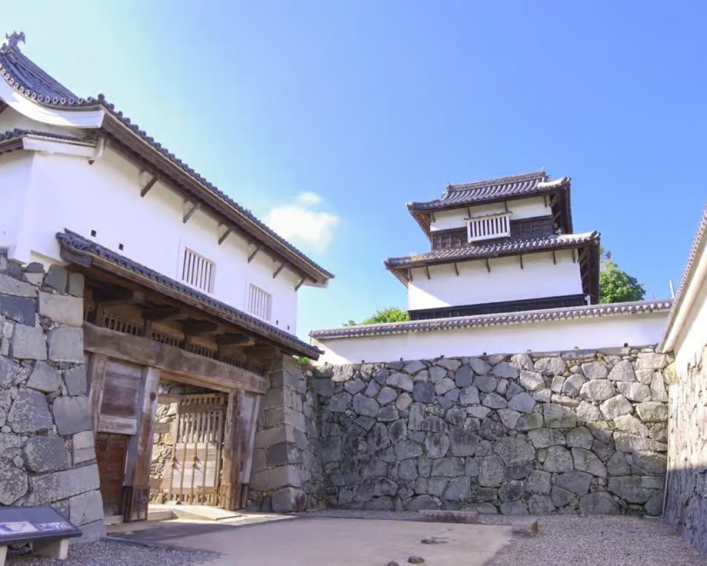 Fukuoka: Fukuoka Castle and Ohori Park Guided Tour#1
