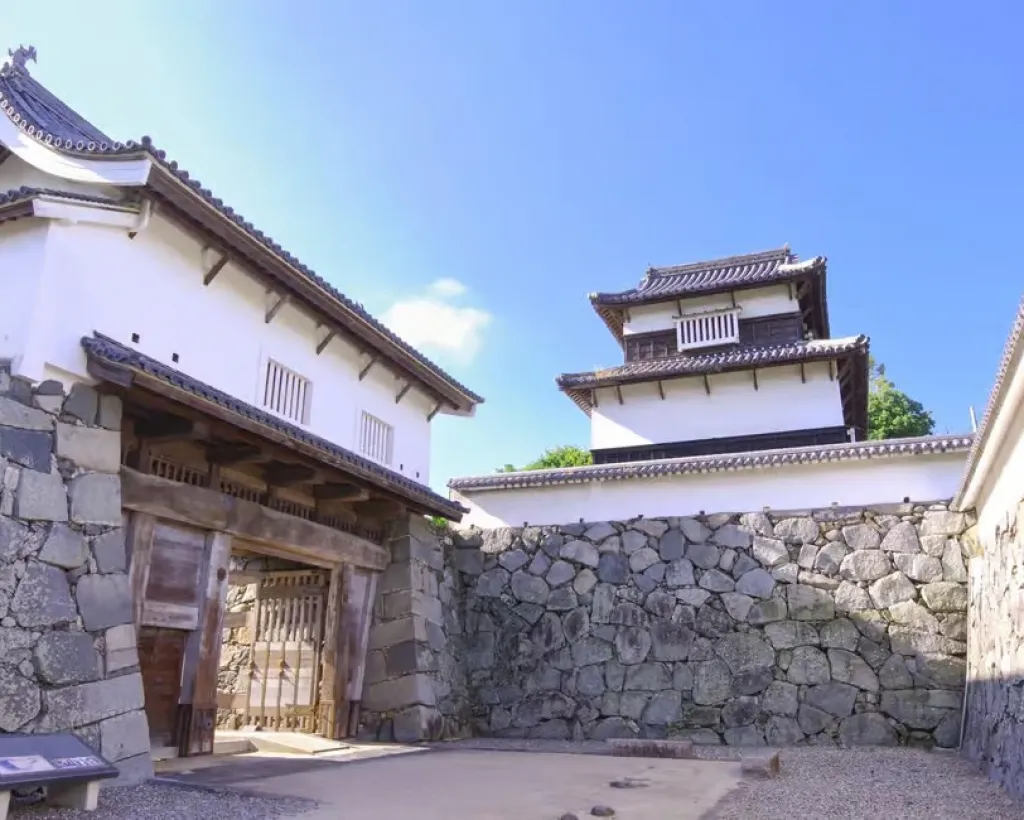 Fukuoka: Fukuoka Castle and Ohori Park Guided Tour#1