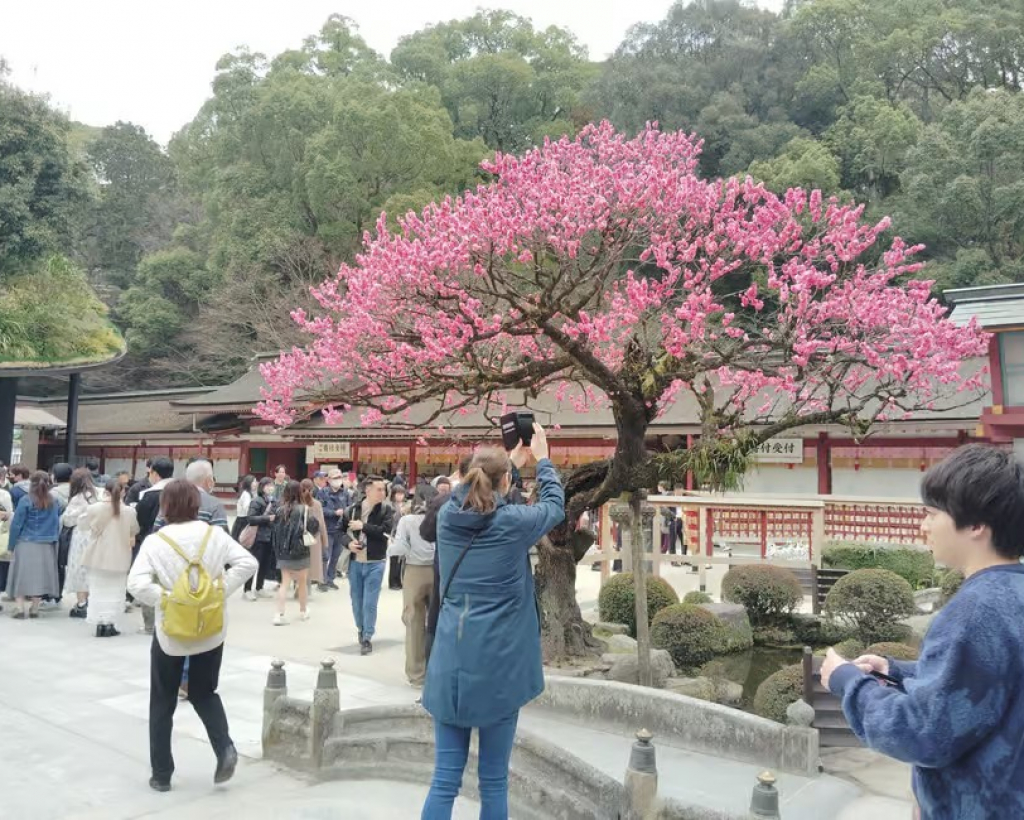 Dazaifu: Guided Tour of Ancient Capital's Historic Sites#3