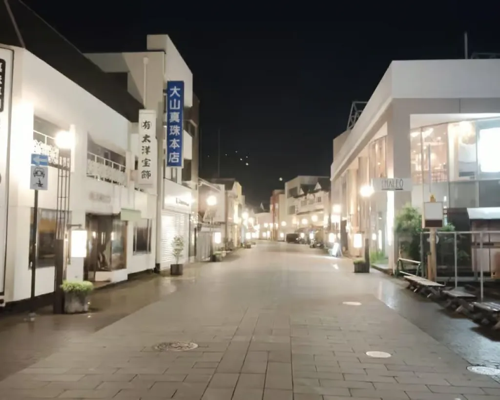 Ise: Guided Bar-Hopping Tour with Food and Drinks#4